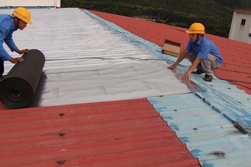 寶綠榕與您探討 建筑工程中屋頂防水工程的關鍵施工要點